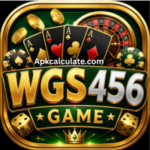 WGS456 Game